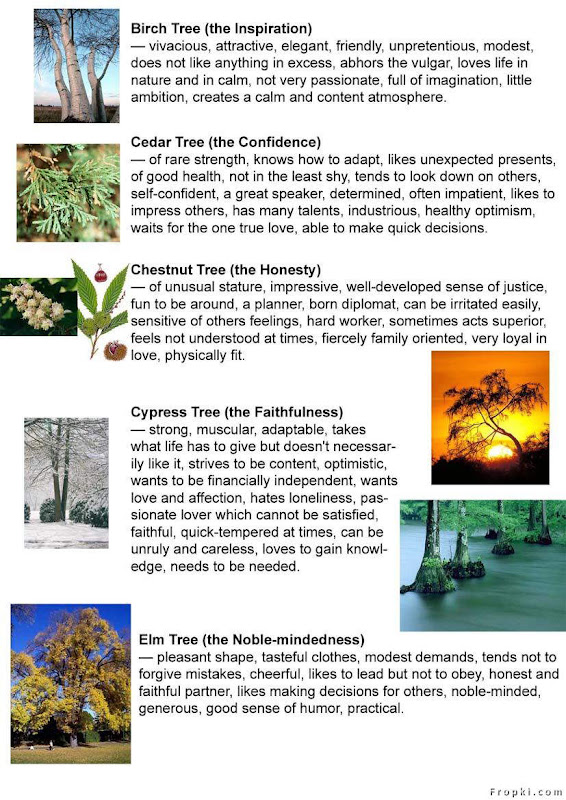 Find ur Personality in Trees