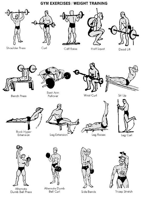  Guide to Excellent Health and Fitness | Complete Free Online Health Guide | Exercise Fitness Yoga Gym Calorie Chart and Stress Management