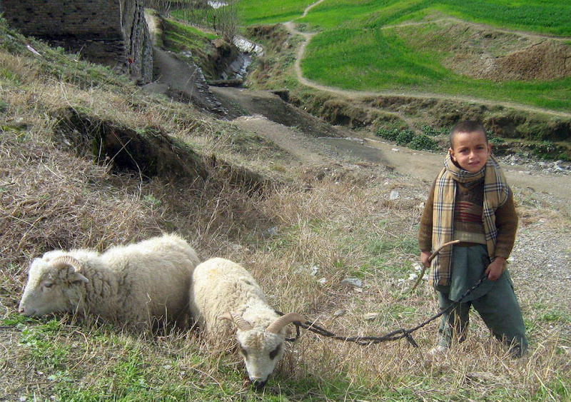 View Larger Image. Current:800x563 Available:990x697 Scenes from Pakistan