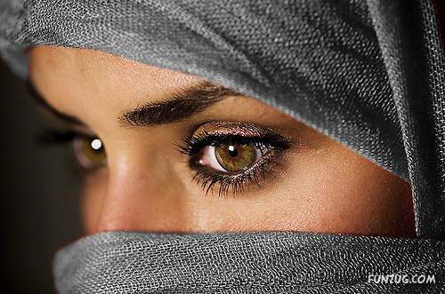 Beautiful Hijab Pictures