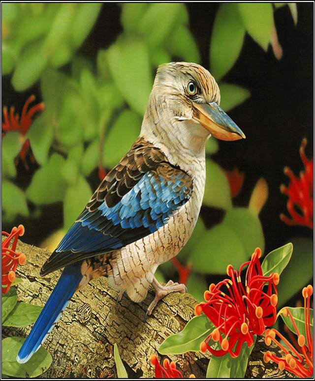 Wonderful Animals'/Birds' Shots