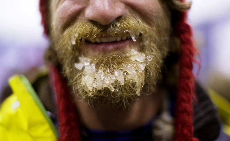 Dog sled photos from several races (Yukon Quest Race, Cam-Am Crown Race) in the Northern Hemisphere (Alaska)