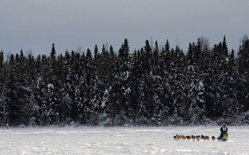 Dog sled photos from several races (Yukon Quest Race, Cam-Am Crown Race) in the Northern Hemisphere (Alaska)