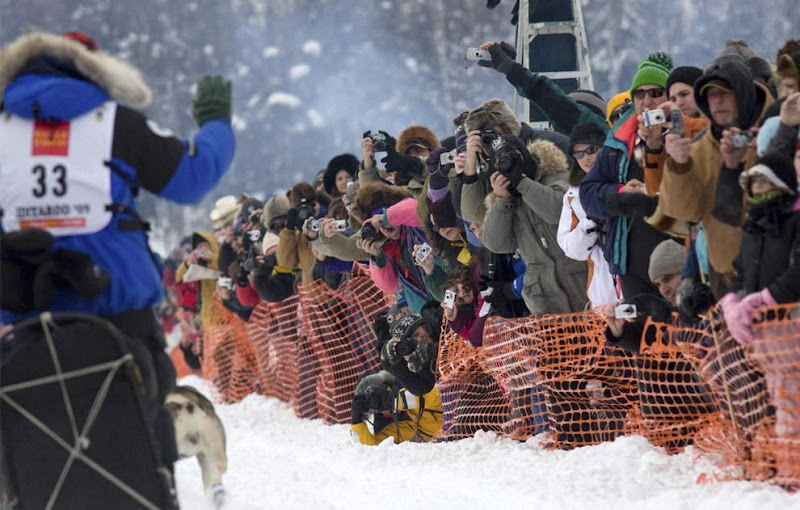 Dog sled photos from several races (Yukon Quest Race, Cam-Am Crown Race) in the Northern Hemisphere (Alaska)