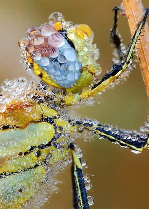 Really Cool Assorted Photos