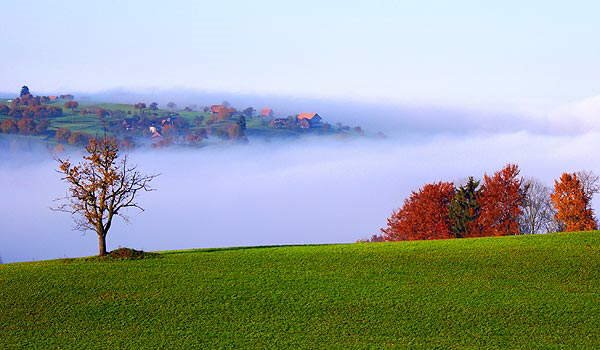 Lovely nature pics to soothe your eyes