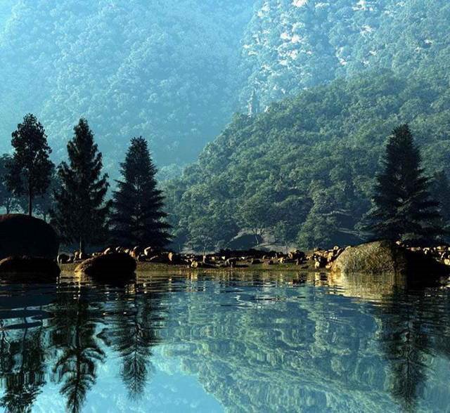 A Different View of the World in Nature Photos