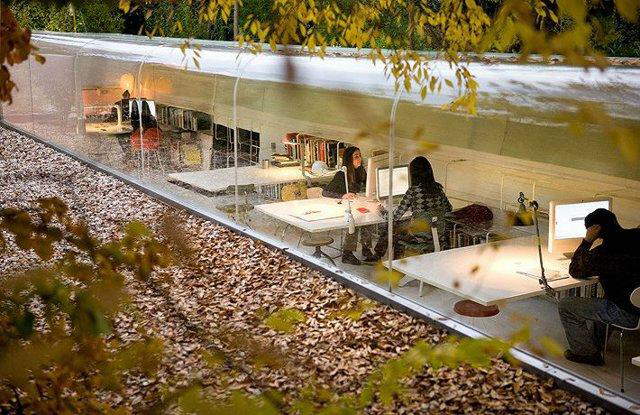 Beautiful Office in Madrid Jungle designed by Spanish architecture firm Selgas Cano