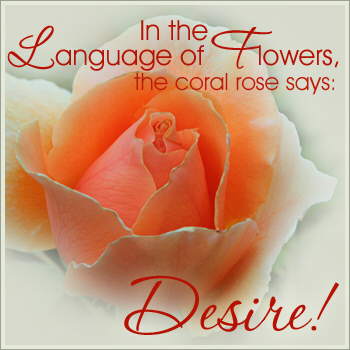Express your Love...