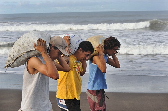 Image Dimension: 712x473 :: Save the Turtles - Habitat destruction photos from Costa Rica Save the Turtles - Habitat destruction photos from Costa Rica