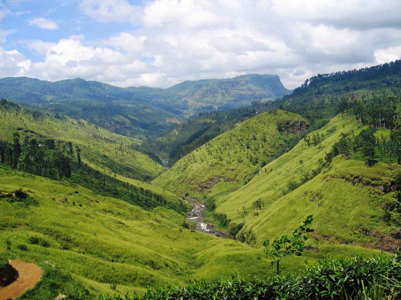 Image Dimension: 800x600 :: Beauty of Srilanka - Paradise on Earth Beauty of Srilanka - Paradise on Earth