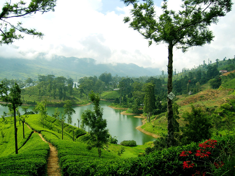 Image Dimension: 800x600 :: Beauty of Srilanka - Paradise on Earth Beauty of Srilanka - Paradise on Earth