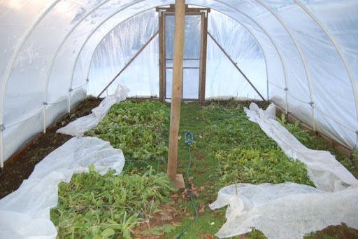 How to post pics.... - Computer Questions