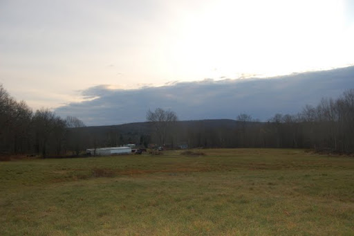 In our new home! - Homesteading Questions