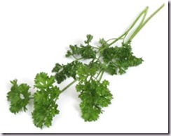 herb_parsley veggie patch gardening tips