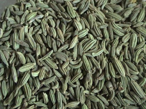 [fennel seeds saunf Hindi  indian spice[3].jpg]