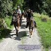 Würze_2010 (196) Kopie.jpg