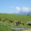 Würze_2010 (13) Kopie.jpg