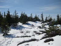 IMG_2485.JPG Photo