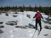 IMG_2486.JPG Photo