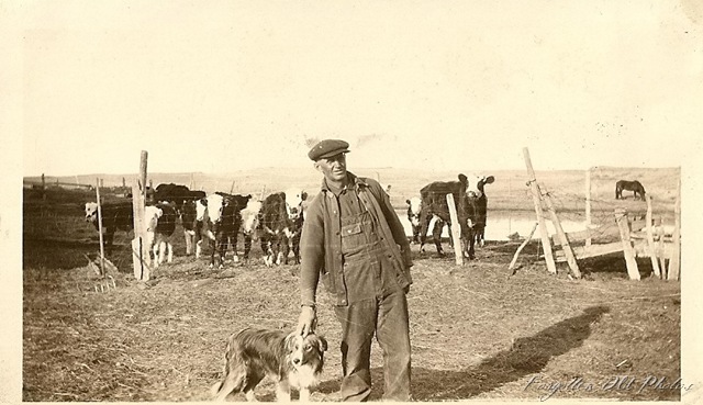 [Cattle and Man and Dog[9].jpg]