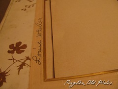 IMG_0755 IMG_0755