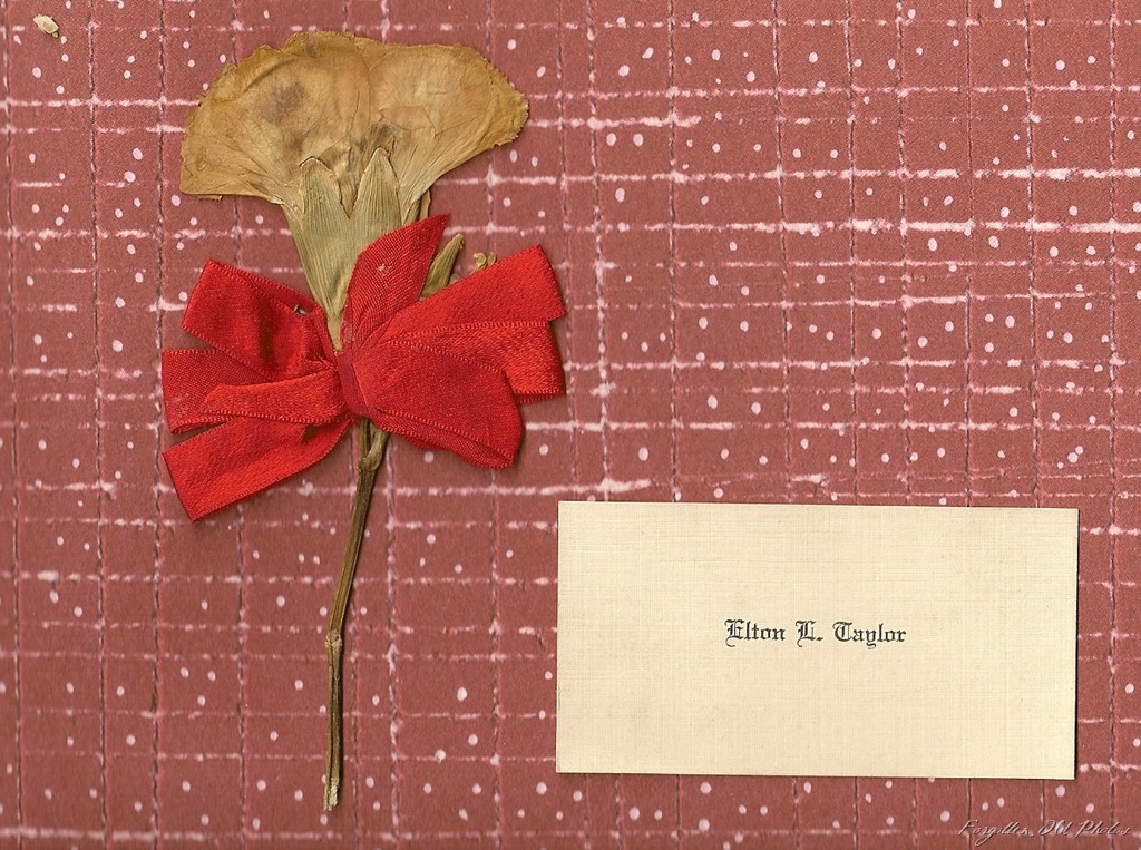 [Page 18 and 19 Elton Taylor Card and carnation[9].jpg]