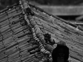 IMG_4807 copy.jpg