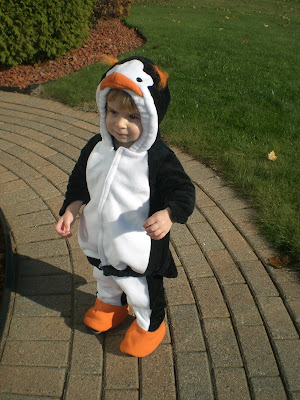 Our little penguin