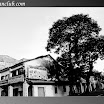 taipingblackandwhite-9.jpeg