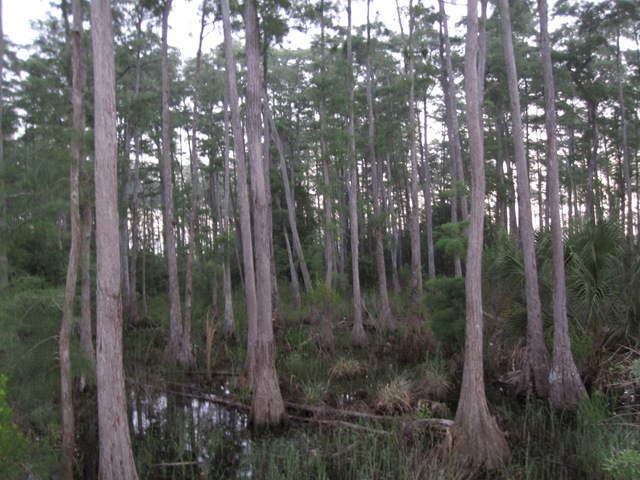 [IMG_50174.jpg]
