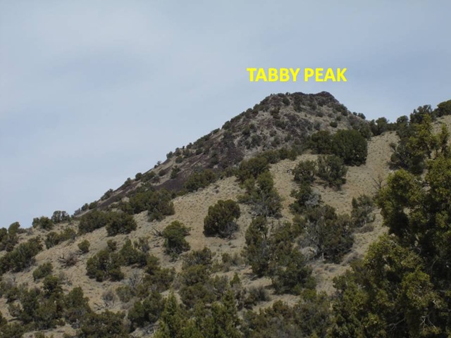 [Tabby Peak[5].jpg]
