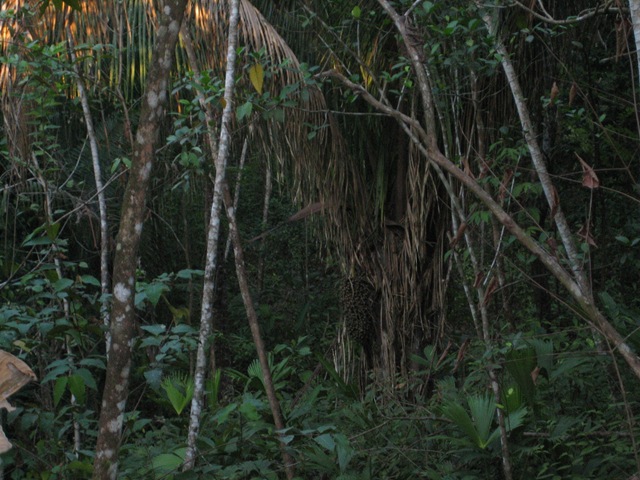 [IMG_84106.jpg]