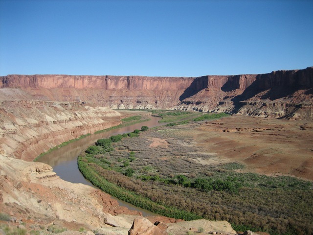 [IMG_06356.jpg]