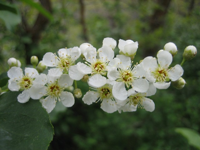 [IMG_04346.jpg]