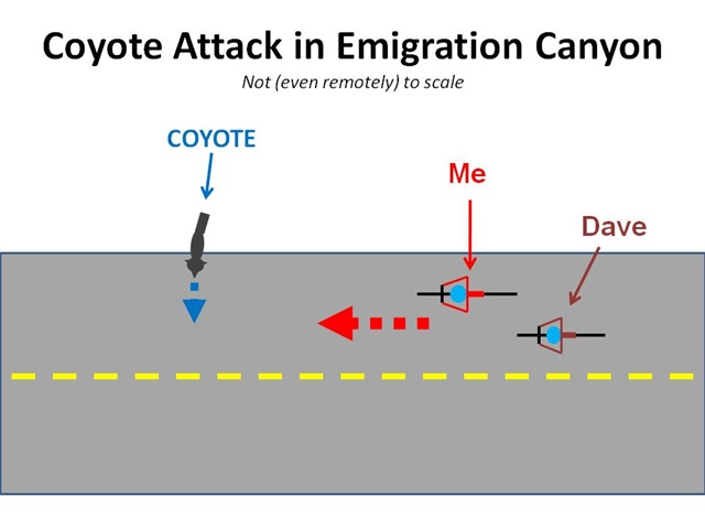[CoyAttack14.jpg]