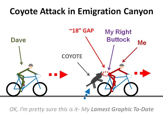 [CoyAttack25.jpg]