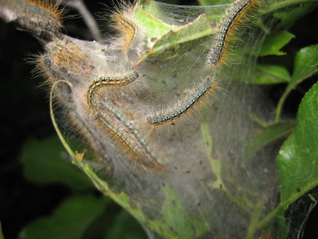 [IMG_05505.jpg]
