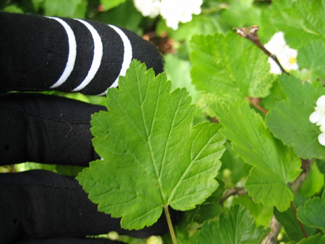 [IMG_10085.jpg]
