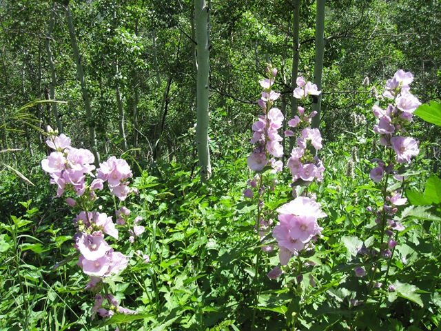 [IMG_04535.jpg]