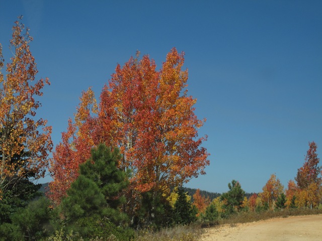 [IMG_24835.jpg]