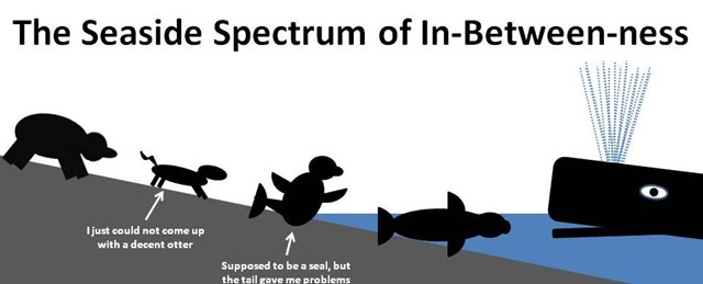 [IB Spectrum[4].jpg]