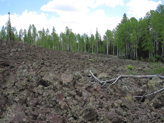 [IMG_59205.jpg]