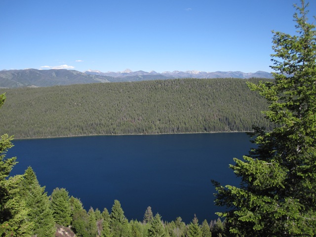[IMG_61594.jpg]