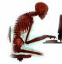 bad posture