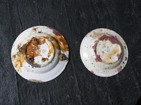 both plates