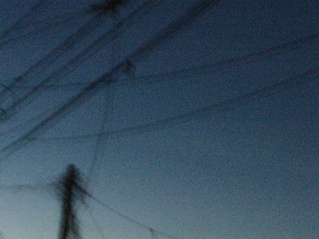 [IMG_001710.jpg]