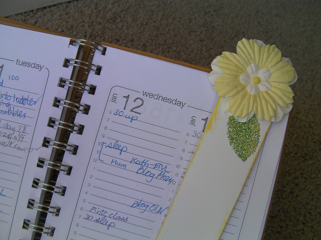 [2011 01 13_LYM 2011_0005[1].jpg]