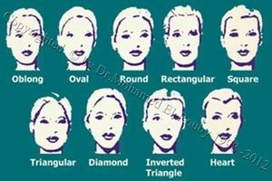 types of face types of face