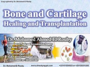 bone and cartilage bioenginering